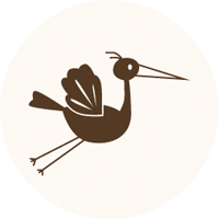 Pack Fotografía Recién Nacido Reportaje Bautizo 05 mya9js