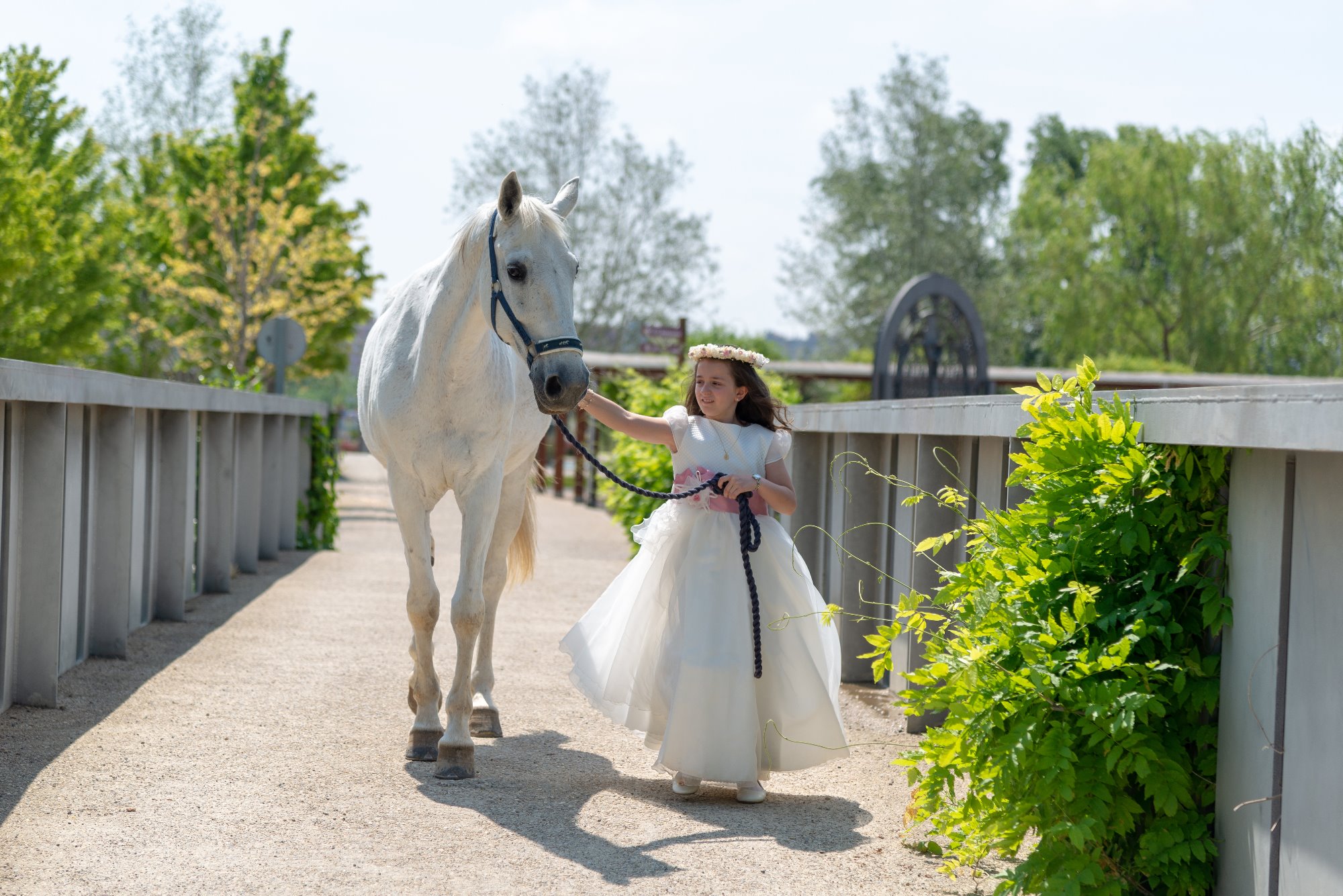 MASCOTAS Y COMUNIONES